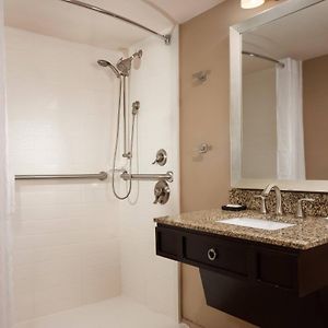 One-Bedroom King Suite